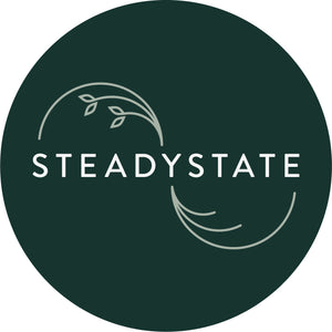 SteadyState