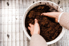 Load image into Gallery viewer, Compressed coconut coir block being mixed by hand after adding water in a bowl
